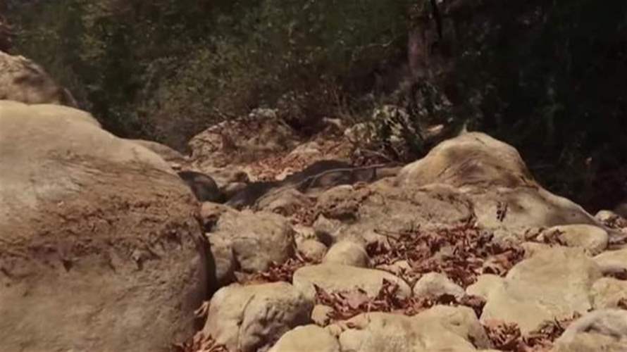 دخلنا موسم الحرائق والتحديات أكبر من الأفعال!