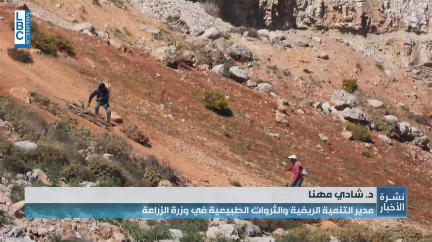 شتاء قادم وأشجار تُقطع
