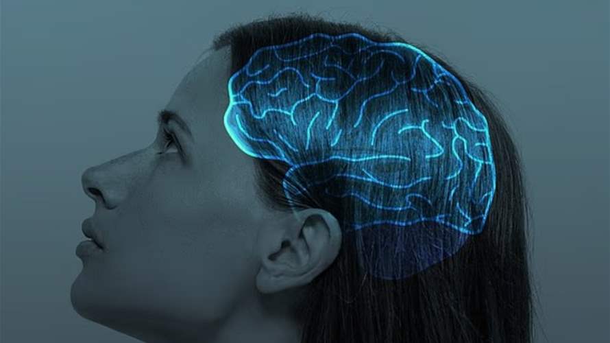 مفاجأة علمية: دماغك لا يبلغ ذروة أدائه العقلي في العشرينات وهذه التفاصيل
