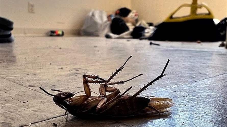 حاولت قتل صرصور فأحرقت المبنى وحوّلت جيرانها الى ضحايا... إليكم ما حصل (فيديو)