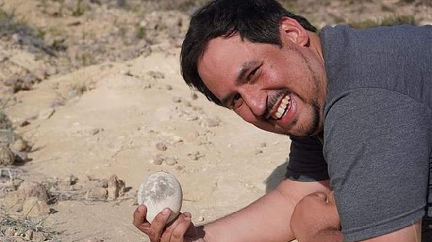 عمرها 70 مليون سنة... علماء يعثرون على بيضة ديناصور نادرة في الأرجنتين (فيديو)