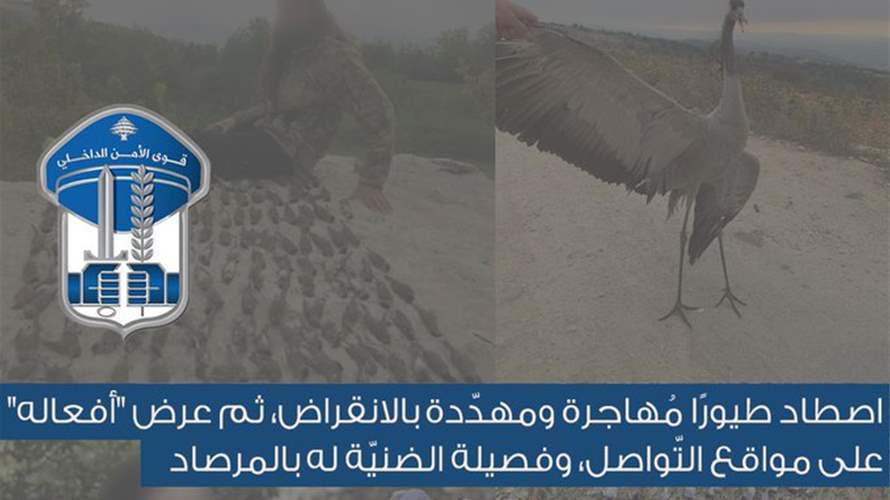 اصطاد طيورًا مُهاجرة ومهدّدة بالانقراض وعرض "أفعاله" على مواقع التّواصل... هذا مصيره