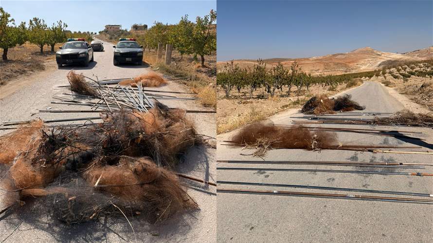 مفرزة استقصاء البقاع تُنقذ آلاف الطيور من شباك الصيد الجائر