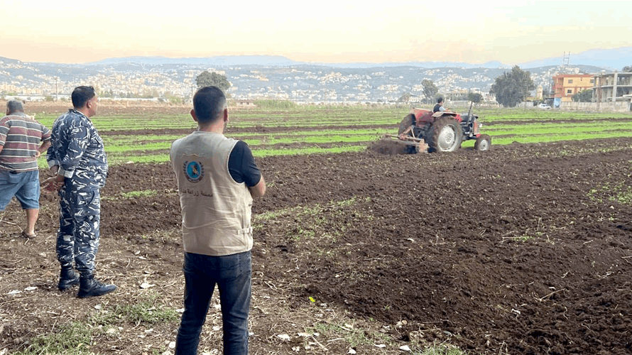 وزارة الزراعة تتحرّك لحماية سلامة الغذاء: إتلاف مزروعات غير مطابقة للمعايير الصحية