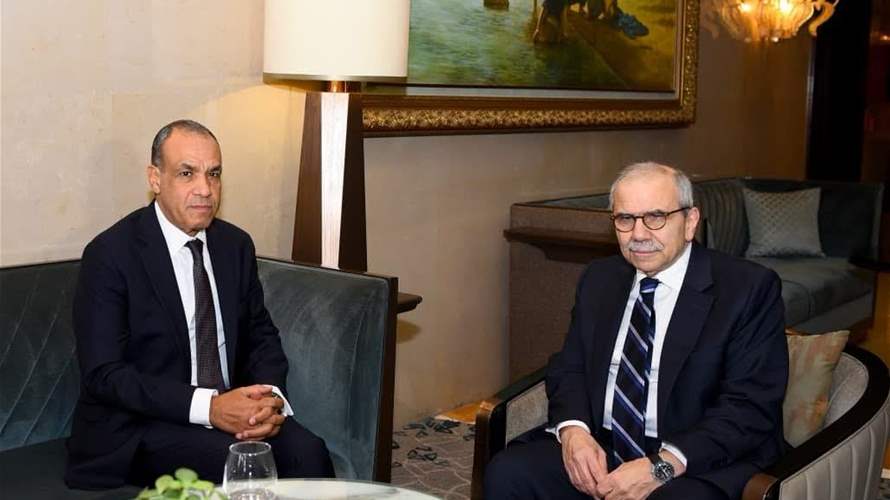 Egypt–Lebanon meeting: Cairo reaffirms support for Beirut against Israeli violations