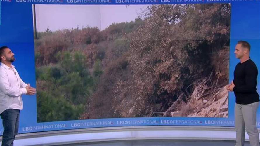 شح الأمطار تسبب بجفاف واسع أصاب أحراج السنديان باليباس