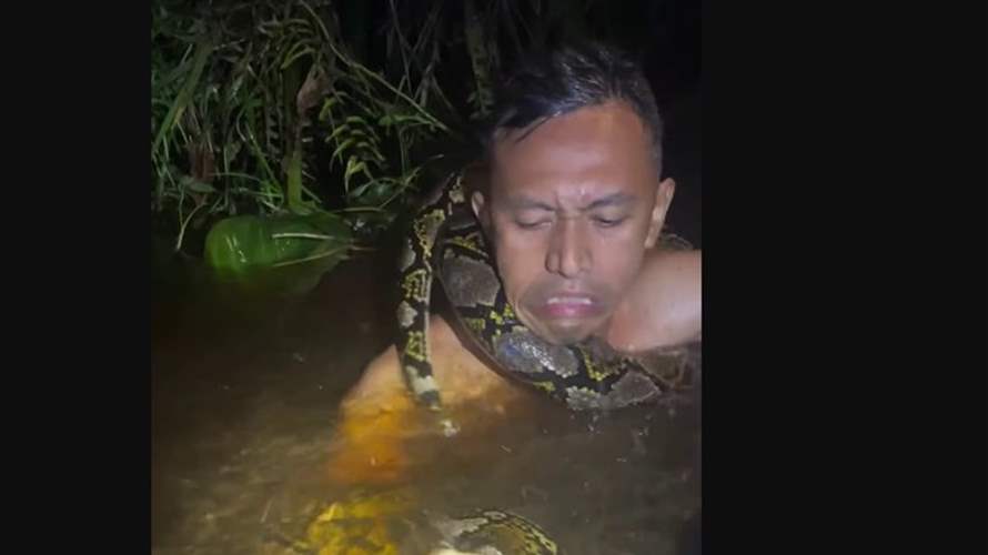 في مشهد مرعب... أفعى بطول 6 أمتار تلتف حول عنق دليل سياحي وتسحبه تحت الماء وهذا مصيره (فيديو)