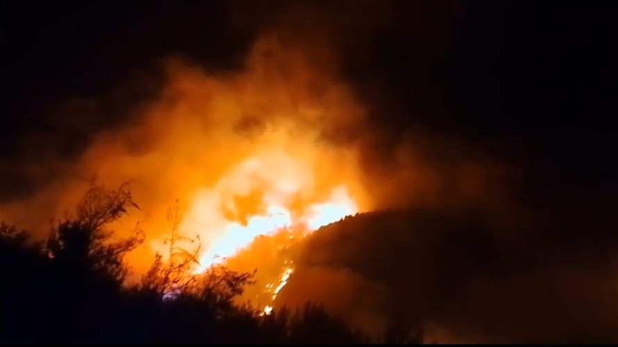 النائب فريد البستاني يناشد الجيش والدفاع المدني التدخل بقوّة اكبر لاخماد الحرائق في احراج وأحياء بلدات الزعرورية والمطلة والجليلية