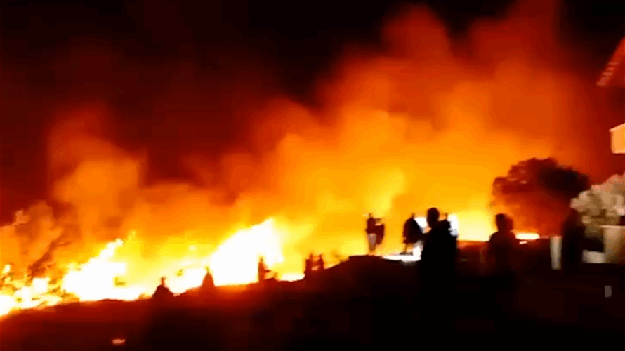 From north to south: Lebanon's forests face devastating blaze