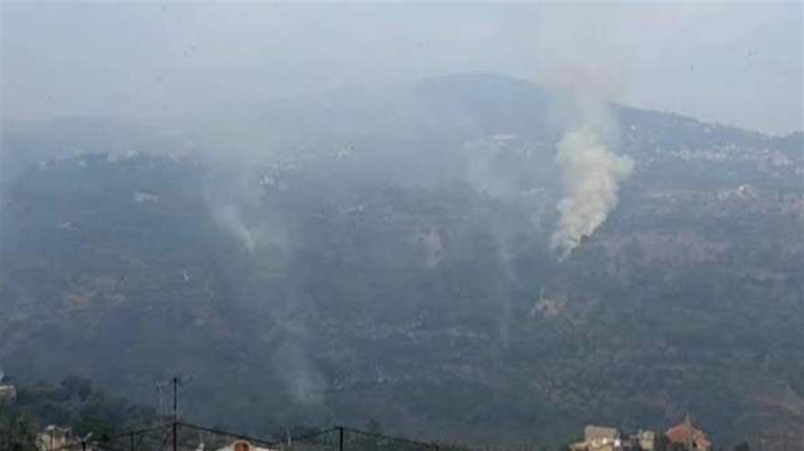 من بكاسين إلى عكار: غابات لبنان تحت النار