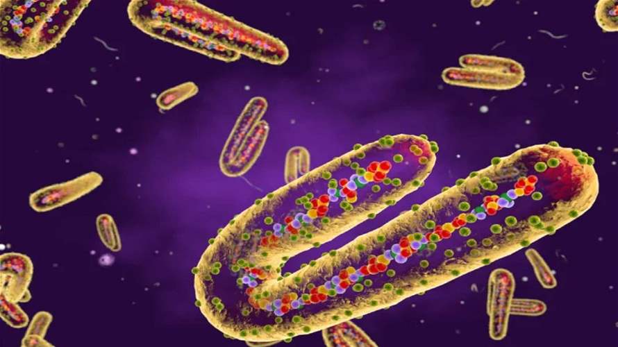 إثيوبيا تؤكد تفشي وباء ماربورغ في جنوبها