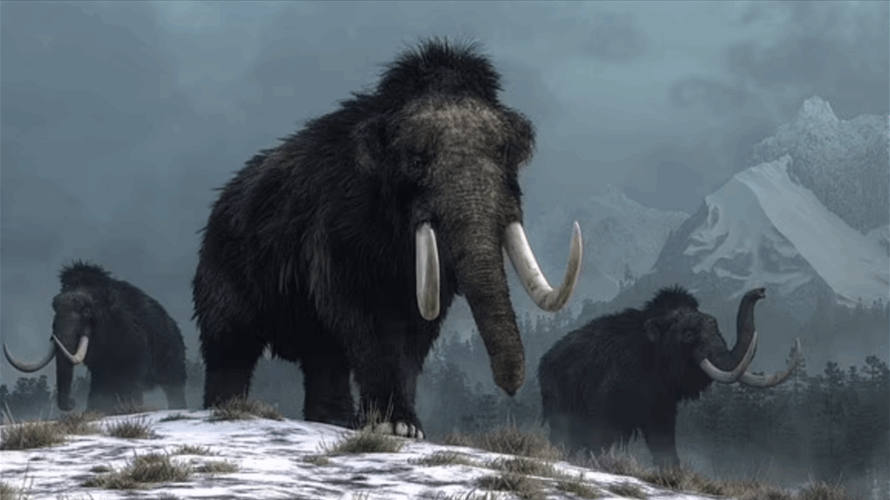 خطوة لافتة... علماء يستخرجون الحمض النووي الريبوزي من مخلوق عاش قبل 40 ألف سنة وهذا ما تم اكتشافه