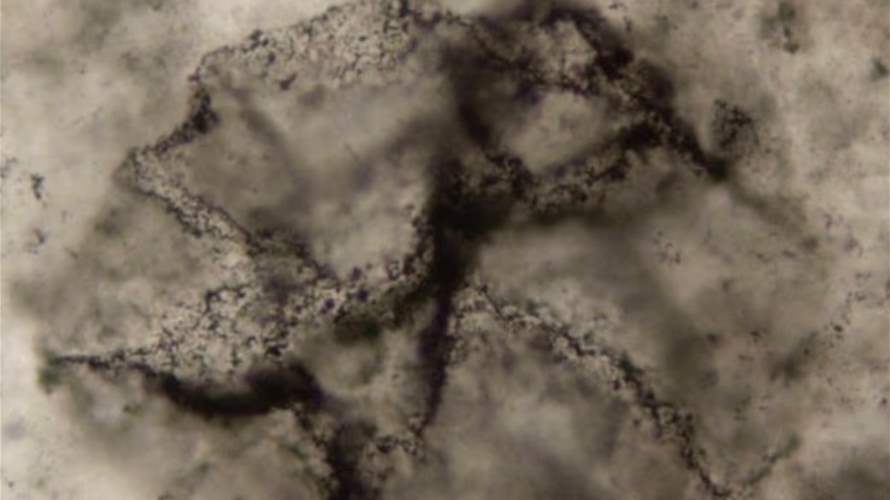 اكتشاف مذهل يعيد كتابة التاريخ: أقدم بصمة حياة على الأرض عمرها 3.3 مليار سنة