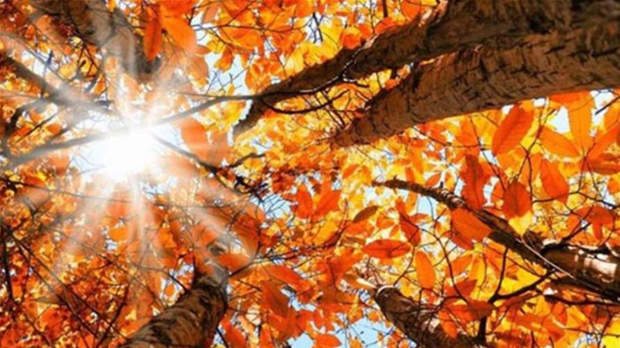 ارتفاع كبير بدرجات الحرارة لتعود ثلاثينية... واحتمال عودة الأمطار الثلاثاء