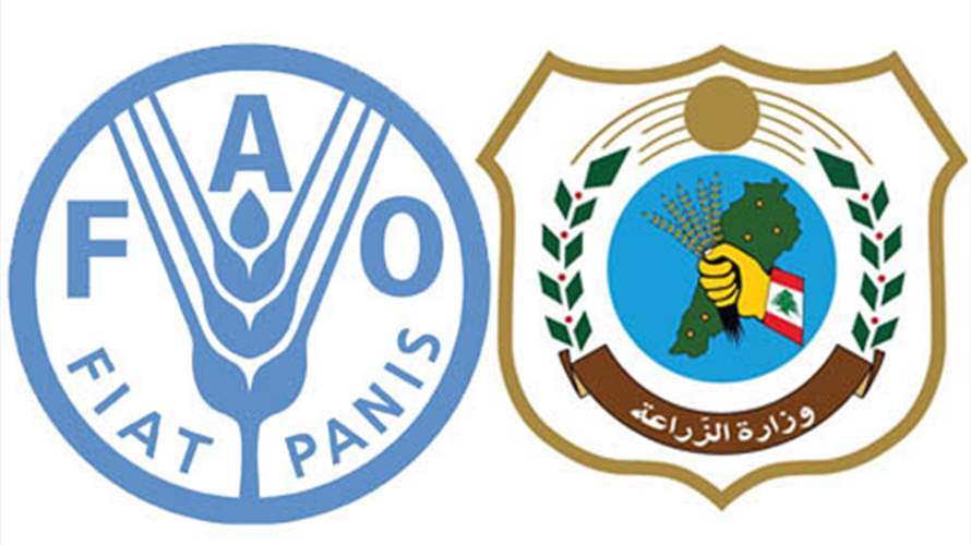 وزارة الزراعة ومنظمة الأغذية والزراعة تطلقان مشروعين جديدين لتعزيز الحوكمة المؤسسية وتعزيز السلامة البيئية