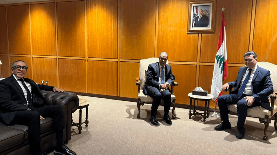 Egypt’s FM arrives in Beirut to meet President Aoun, Speaker Berri and PM Salam