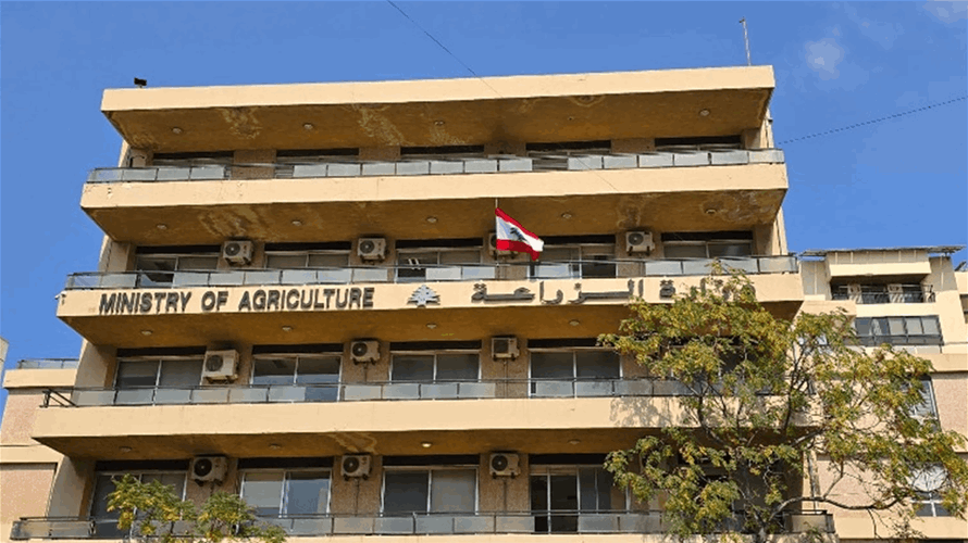 وزارة الزراعة: الحمّى القلاعية لا تنتقل إلى الإنسان لا عبر التماس المباشر ولا عبر استهلاك اللحوم ولا من خلال الحليب ومشتقاته