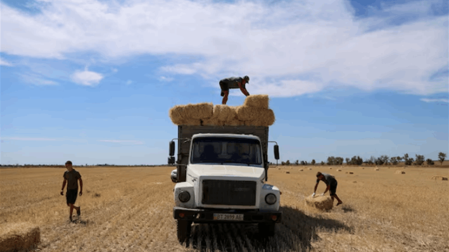 Russian attacks on Ukrainian ports cause drop in food exports