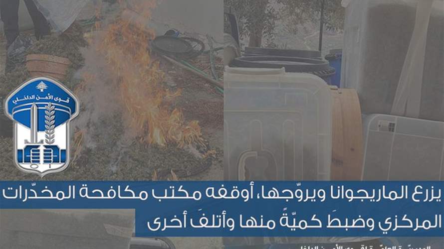 يزرع الماريجوانا ويروّجها... هذا مصيره