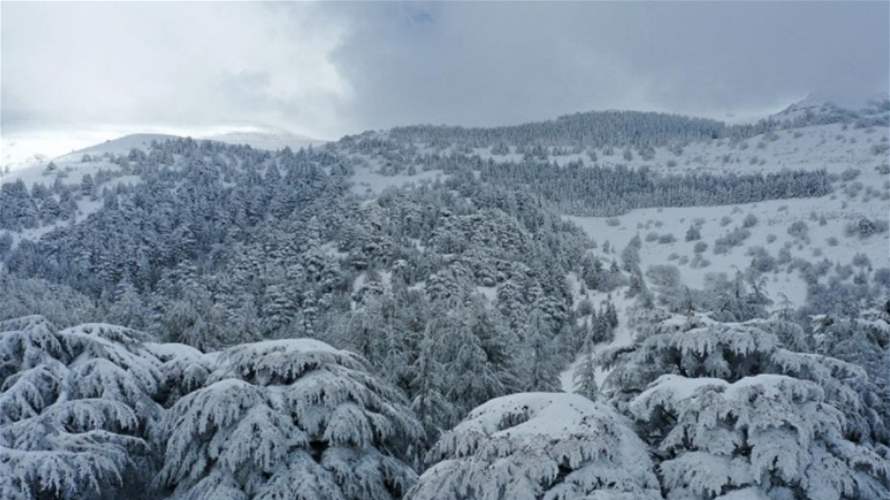 بين الإنفراجات والأمطار الغزيرة والثلوج... هذه تفاصيل الطقس