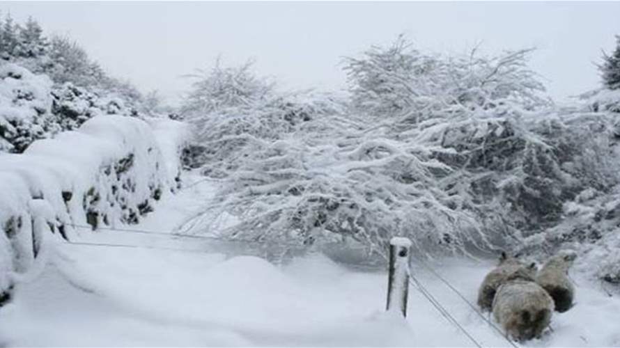منخفض جوي ثالث يبدأ اليوم...