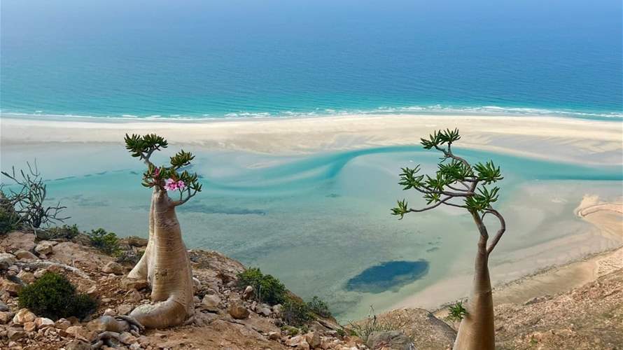 400 tourists stuck on island as flights halted over Yemen fighting