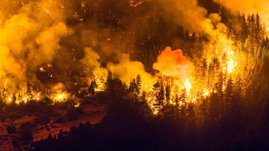 صور صادمة من قلب الجحيم… حرائق الغابات تلتهم أكثر من 15 ألف هكتار في الأرجنتين