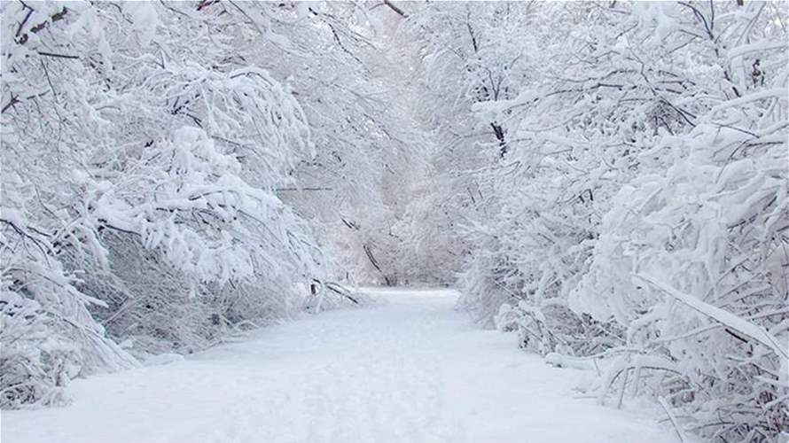 منخفض قطبي يضرب لبنان… ثلوج تقترب من 1000 متر 