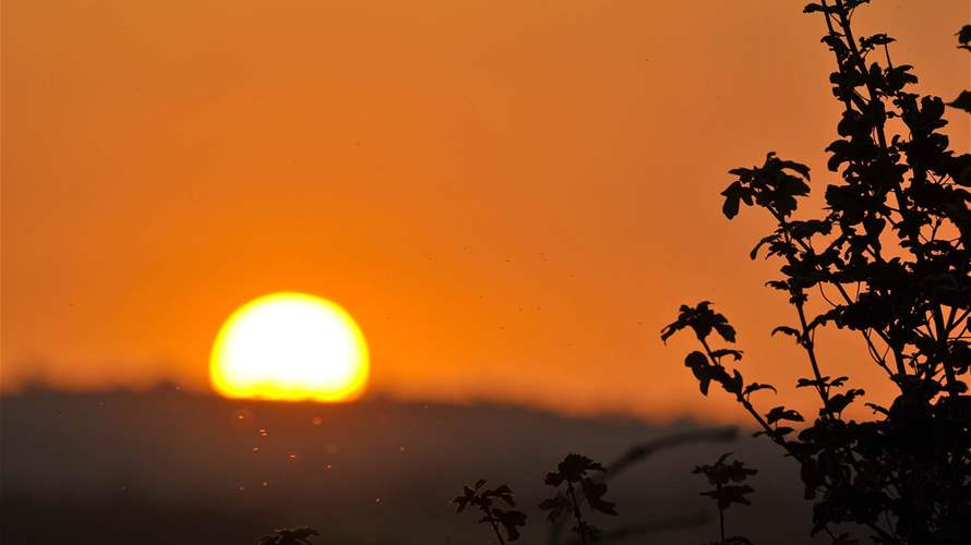 2025 was third hottest year on record: EU monitor, US researchers