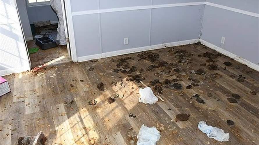 رسالة مؤلمة ومشاهد مخيفة... طفلة تُركت وحدها عامًا كاملًا داخل منزل قذر مع 7 كلاب والتفاصيل صادمة (صور)