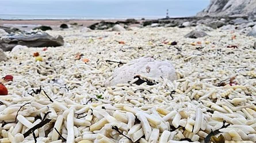 في مشهد صادم: ملايين "رقائق البطاطا" تغزو شاطئاً بريطانياً… إليكم ما حصل (صور)