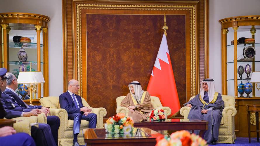 وزير الداخلية التقى نائب رئيس وزراء البحرين: لتعزيز الشراكة الأخوية والتنسيق الثنائي