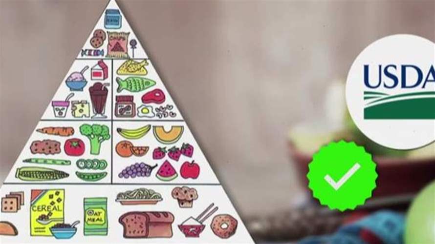 الهرم الغذائيّ الأميركيّ الجديد: تفاصيله وكيفية تطبيقه في لبنان