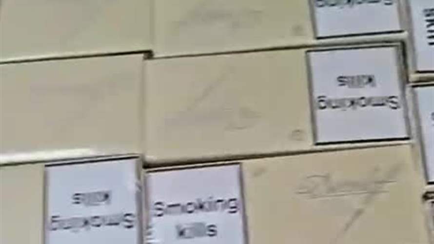 الجمارك اللبنانية تضبط مواد غذائية وتبغية مهربة في صيدا