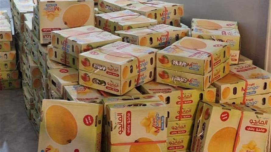 جمارك الشمال تضبط عدسات ولوازمها مع مانغا مهربة