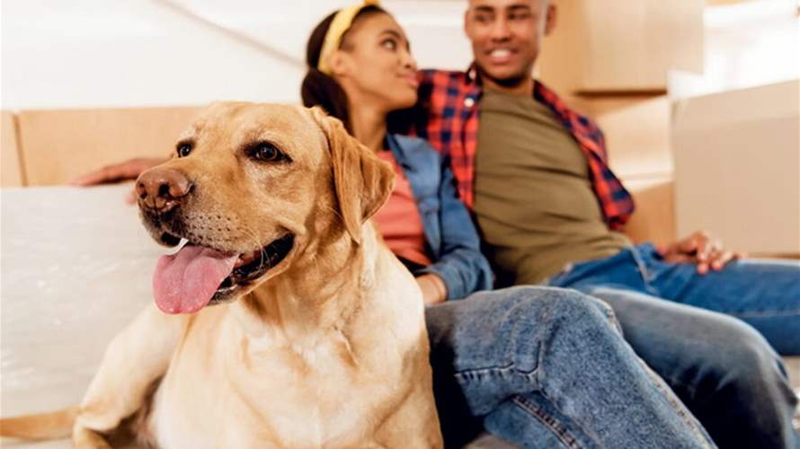 الذكاء الإصطناعي يفاجئ العالم مجدداً... ابتكار جهاز يترجم كلام البشر إلى لغة الكلاب!