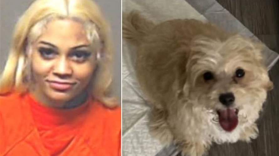 أساءت معاملة كلبها خلال بث مباشر... مغنية راب شهيرة تثير ضجة على مواقع التواصل!