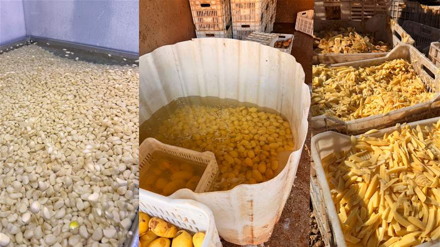مفرزة استقصاء البقاع توقف مالك معمل للبطاطا المقشّرة الجاهزة... وختم المعمل بالشّمع الأحمر