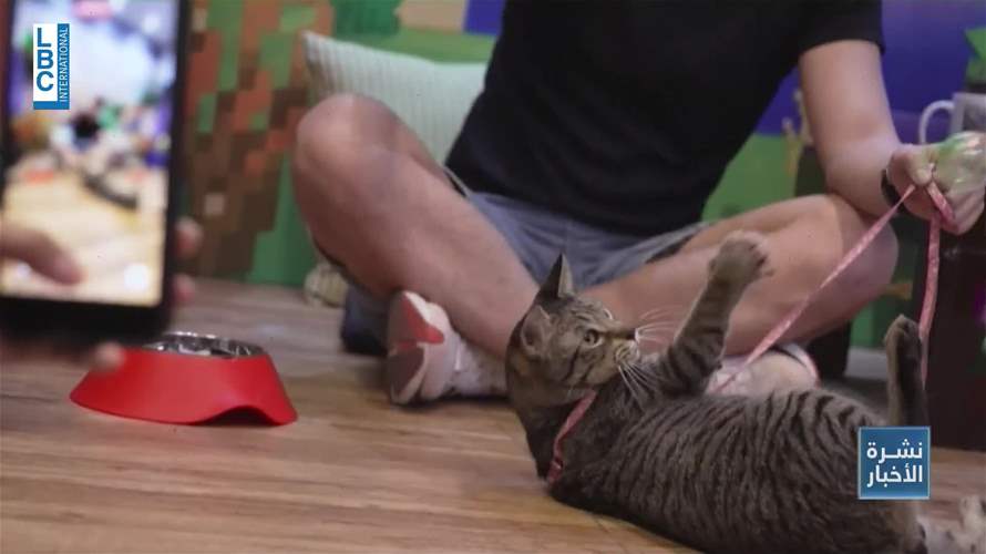 عيد الحب في الفيليبين... عشق من نوع آخر