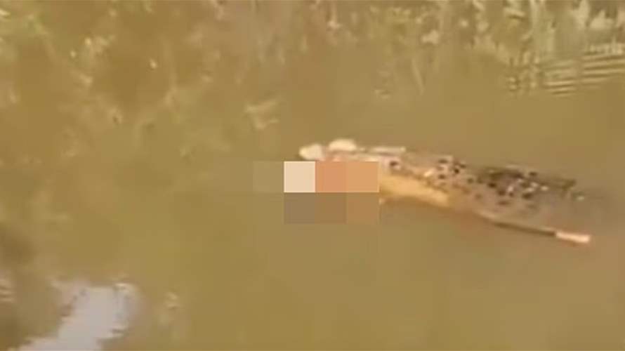 في مشهد مرعب: تمساح عملاق يظهر بجثة امرأة بين فكيه... إليكم ما حصل (فيديو)