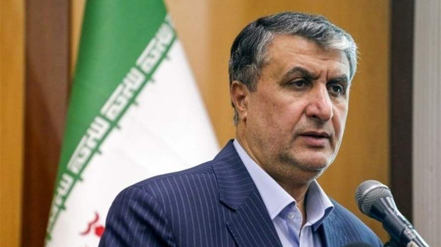 مدير منظمة الطاقة الذرية الإيرانية يقول إنه لا يمكن لأي بلد حرمان إيران من حقها في التخصيب