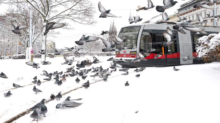 عاصفة ثلجية في النمسا... مقتل 5 أشخاص وتعطل حركة النقل