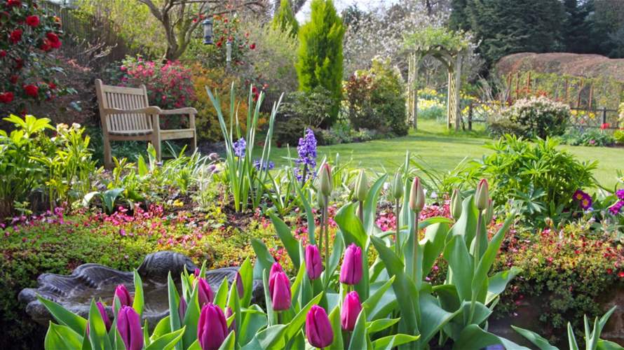 مع حلول فصل الربيع... إليكم أبرز أعمال البستنة التي يجب عليكم القيام بها للحصول على حديقة مزدهرة!