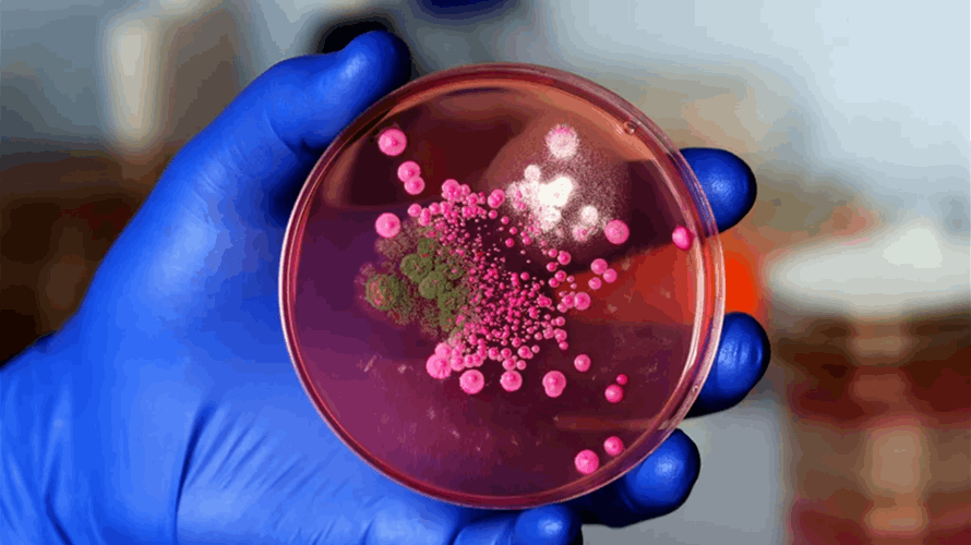 الثمن الصحي للحروب: "البكتيريا الخارقة" المقاومة للأدوية تنتشر خارج حدود النزاعات وأزمة صحية عالمية تلوح في الأفق