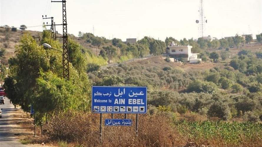 Three killed in Israeli strike on Ain Ebel