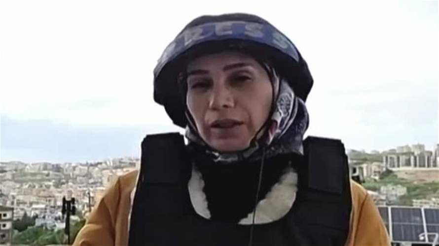 سلسلة غارات استهدفت جبل الريحان... إليكم الصورة من النبطية