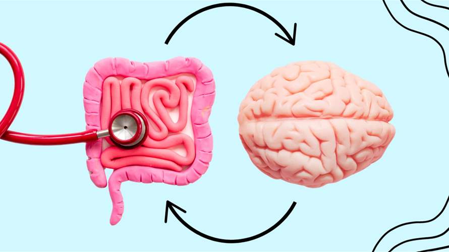 هل يمكن للأمعاء أن تؤثر على الذاكرة؟ دراسة تكشف علاقة مفاجئة