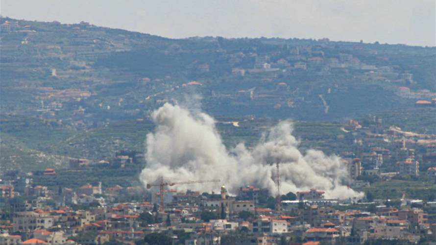 South Lebanon farmers cut off from land as war devastates agriculture