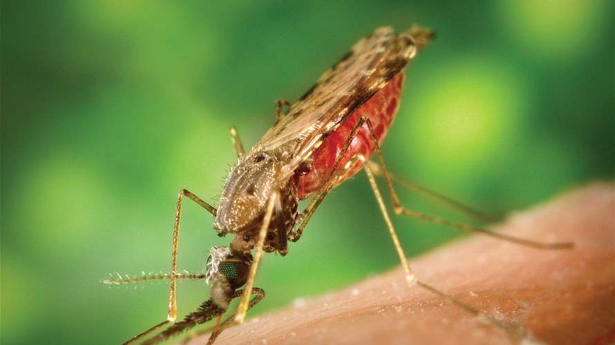 في يوم الملاريا العالمي... معركة القضاء على المرض تدخل مراحلها الحاسمة