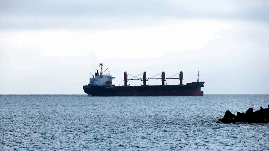 Vessel carrying grain Ukraine says stolen by Russia won't unload in Israel: Media